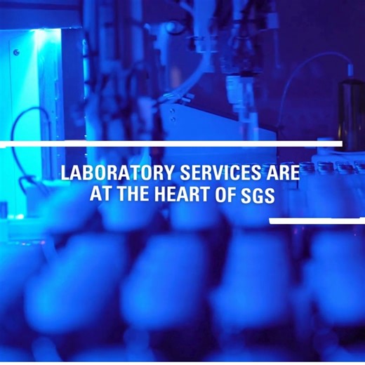 431K views · 89 reactions | The sustainability market is growing rapidly and we're proud to be a pioneering leader and partner of choice. Through IMPACT NOW for sustainability, we’ve unified our sustainability services on one platform to help drive our clients' ambitions and deliver measurable impact. #AcceleratingGrowthBuildingTrust #sustainability #IMPACTNOW #growth #innovation #CapitalMarketsEvent2024 | SGS | Facebook