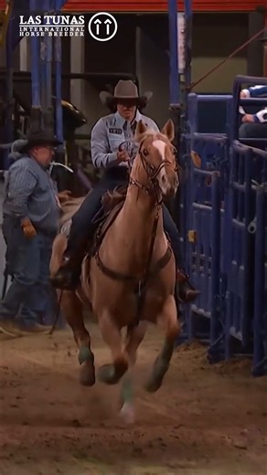 Rodeo Live on Instagram: "Hailey Kinsel and Sis are firing on all cylinders 😮‍💨 Your @lastunasperformancehorses Horsepower from Round 1 of the NFR is the 4x World Champion!"