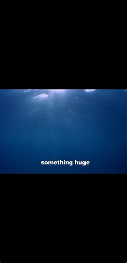  They Knew What The Bloop Was… But They Hid It From Us In 1997,...