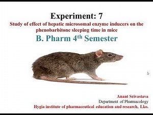 Study the effect of hepatic microsomal enzyme inducers on the phenobarbitone sleeping time in mice