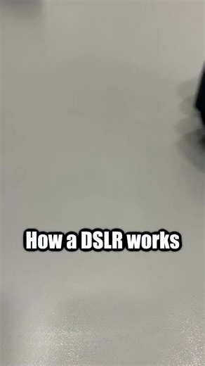 435 reactions · 28 shares | Ever Wonder How a Camera Works? Here's the Truth! #camera #americanphotographer #americanphotography #usaphotography #canadaphotography #canadaphotographer #australiaphotography | Prooptics Cameras | Facebook