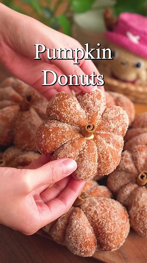 Let’s make Pumpkin Donuts! These donuts are perfect for the Fall and something everyone can enjoy! Full Recipe is on our Blog, LlNK is in our Bl0! Just type “DONUT” in the search!❤️ #donut #pumpkin #baking #easyrecipes #foryou #recipes