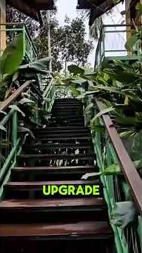 Villa Tour We Found the PERFECT Blend of Luxury and Nature #travel #shorts #resort