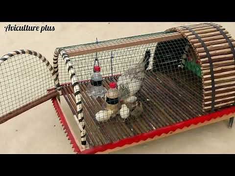 Comment fabriquer une cage pour la poule et les poussins ?