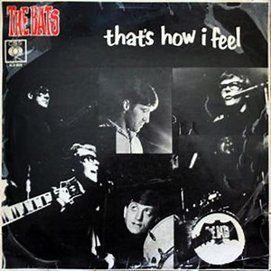 The Bats - That's How I Feel