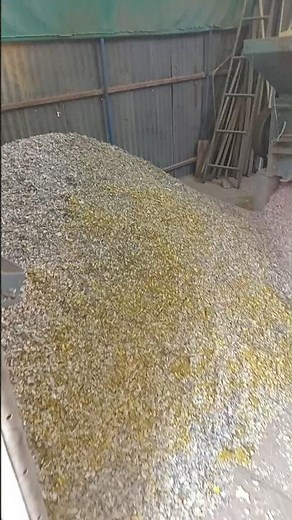 Plastic Waste Management Working Model 💪 👷‍♀️ #plasticrecycling #plasticwaste #machine