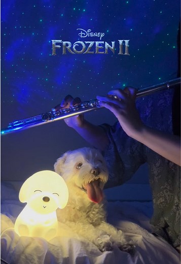 All Is Found: Flute Cover for My Dog