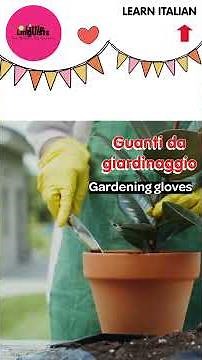 🇮🇹 Come Usare i Verbi Italiani: Lezione Chiara per Principianti 🇮🇹 Verbs You Should Learn First 🇮🇹