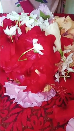 বন্ধুর বাড়ির ফুল বাগানে #viralvideo #trending #flowers #russian