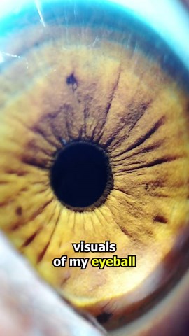 How Powerful Is Celestron Lab's Microdirect 1080p Hdmi Handheld Digital Microscope?