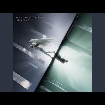 Don't Want Your Love (Grey Remix)