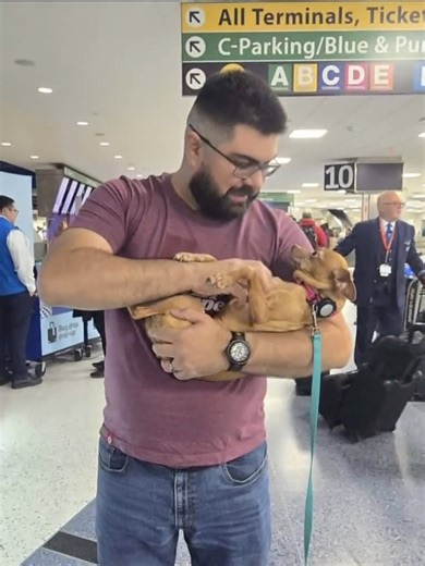 Dog Reunited with Owner After 5 Years Journey