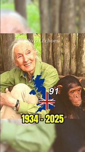 91 Years, One Mission: Saving Animals with Jane Goodall