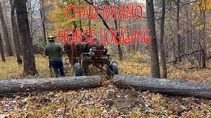 20K views · 648 reactions | Last fall we spent part of a day with Chad and Frank Miano as they logged with their big Suffolk Punch draft horses on a mountainside near Gate City, Virginia. Here's a little footage from the show we put together from that shoot. To see the full episode on YouTube, go to: https://youtu.be/tjcIgAjEEpQ | Rural Heritage Magazine | Facebook
