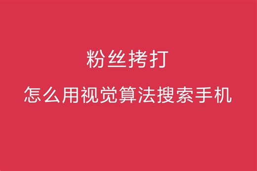 怎么用视觉算法搜索手机