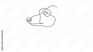 Self drawing simple animation of single continuous one line drawing Whippet. Dog head drawing by hand, black lines on a white background. The concept of wildlife, pets, veterinary.