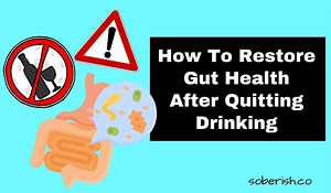 Why Alcohol Harms Your Gut | How to Restore Gut Health After Drinking