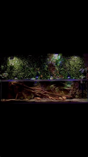 7.2K views · 139 reactions | Non floating and ready to use roots and logs in all measurements. | Aquadecor | Facebook