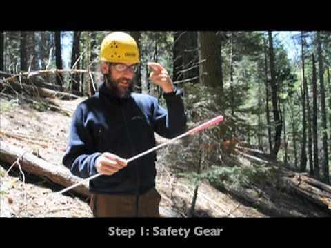 Tree Climbing: Line Launching with a Crossbow