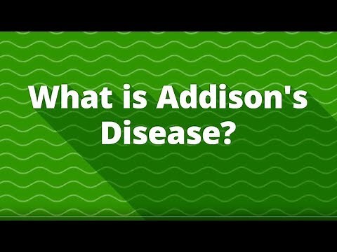 What is Addison's Disease? (Adrenal Hormone Insufficiency)