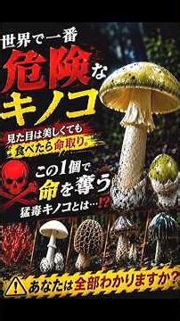 🍄 世界一危険なキノコTOP5