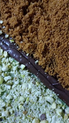 Biscoff Pistachio Slankatia 😋🔥🍫🤤#SlankatiaSpecial #PistachioButterCream #ViralDubaiDessertAtHome