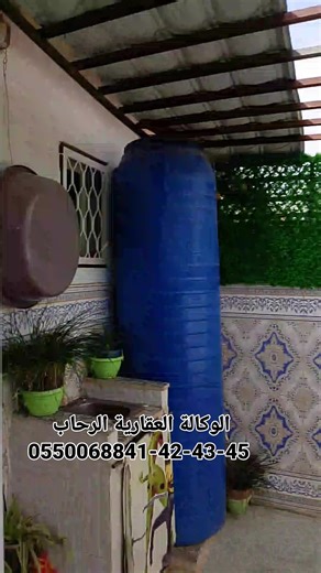 137 reactions · 13 comments | Azziz Azzi on Reels | Facebook