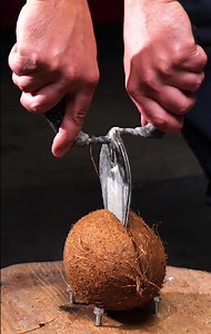 Turning Coconuts into Genius Crafts with Unexpected Uses | 5-Minute Workouts