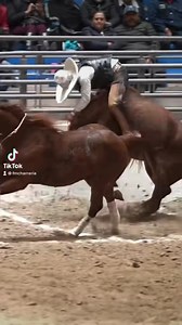 2.7M views · 48K reactions | Charrería Deporte Nacional por Excelencia . #mexico #charro #sport #lienzo #horses | Federación Mexicana de Charrería A.C. | Facebook
