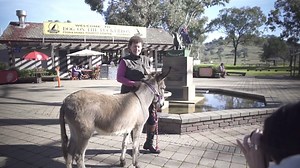 4.6K views · 367 reactions | Matilda wanted to honour the animals during her campaign, so she visited The Dog on the Tuckerbox outside Gundagai in Southern New South Wales. | Australian Koala Foundation | Facebook