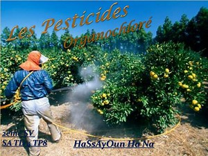 Les Pesticides - SlideServe