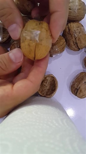 80 Paired Walnut Shell Halves Natural Decoration Crafting Organic Ornaments Craft Supplies DIY - Etsy