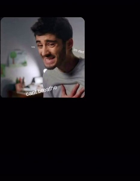 #onedirection #zaynmalik