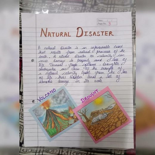 disaster management (project) class 8