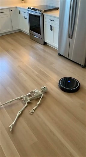 Cat's Hilarious Jump from Robot Vacuum Scare