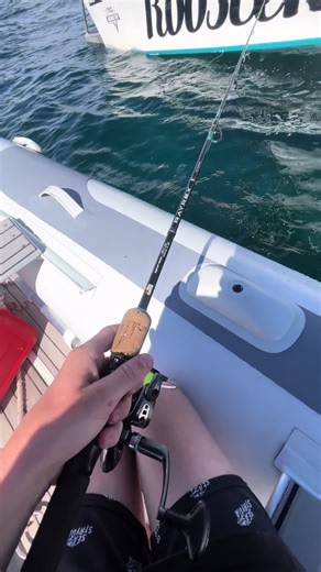 Catching Herring: A Fishing Adventure on Video