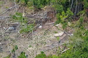 Funai divulga imagens de índios isolados no Amazonas, próximo à fronteira com o Peru – Jovem Pan