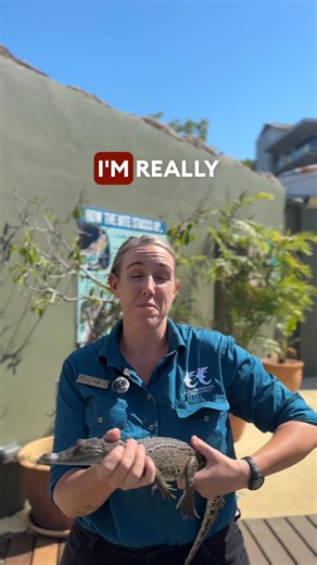 Meet Holly everyone! 👋Just another legend that works here at Croc Cove. 🐊🐊🐊 | Crocosaurus Cove Darwin