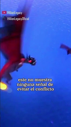 5) Los Dragones más poderosos clase SHARP parte 5 - "DEVORA ESPINAS"