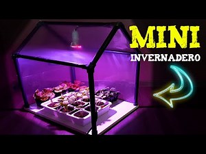 How to Make a Homemade Mini Greenhouse to Germinate Seeds or Make Cuttings.