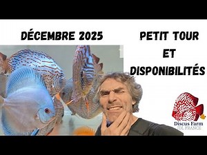 A quick tour of the Discus farm and its availability