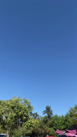 Experience Fun on Our Journey Together!