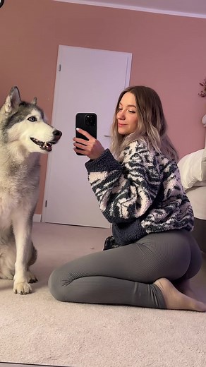 Capturing Moments: Person and Siberian Husky Together