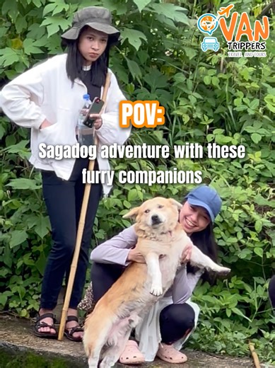 Sagadoggiesss: PAWsitive Travel Package to Sagada