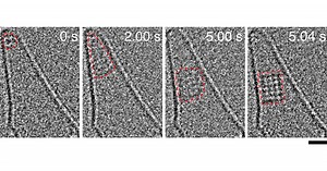 東大と産総研、物質の結晶化の瞬間を動画で撮影することに成功！