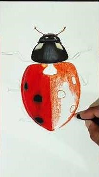 "Ladybug Drawing 🐞 | Realistic Red Bug Sketch with Color Pencils ✏️ #shorts"
