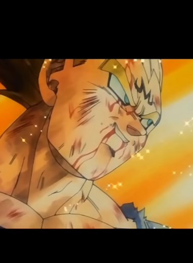 Vegeta's Final Atonement Against Majin Buu