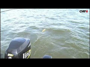 CMP Group | TROLLMaster | TROLLMaster PRO Idle Features