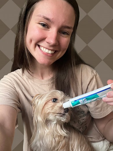 Watch Honest Review of the Virbac Enzymatic Toothpaste for dogs on Amazon Live