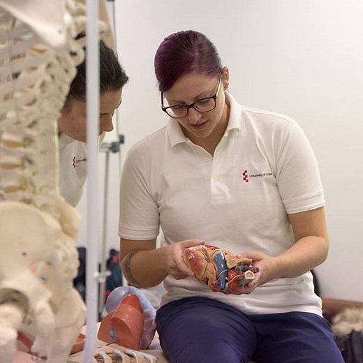 Physiotherapy | Your subject guide | University of Essex